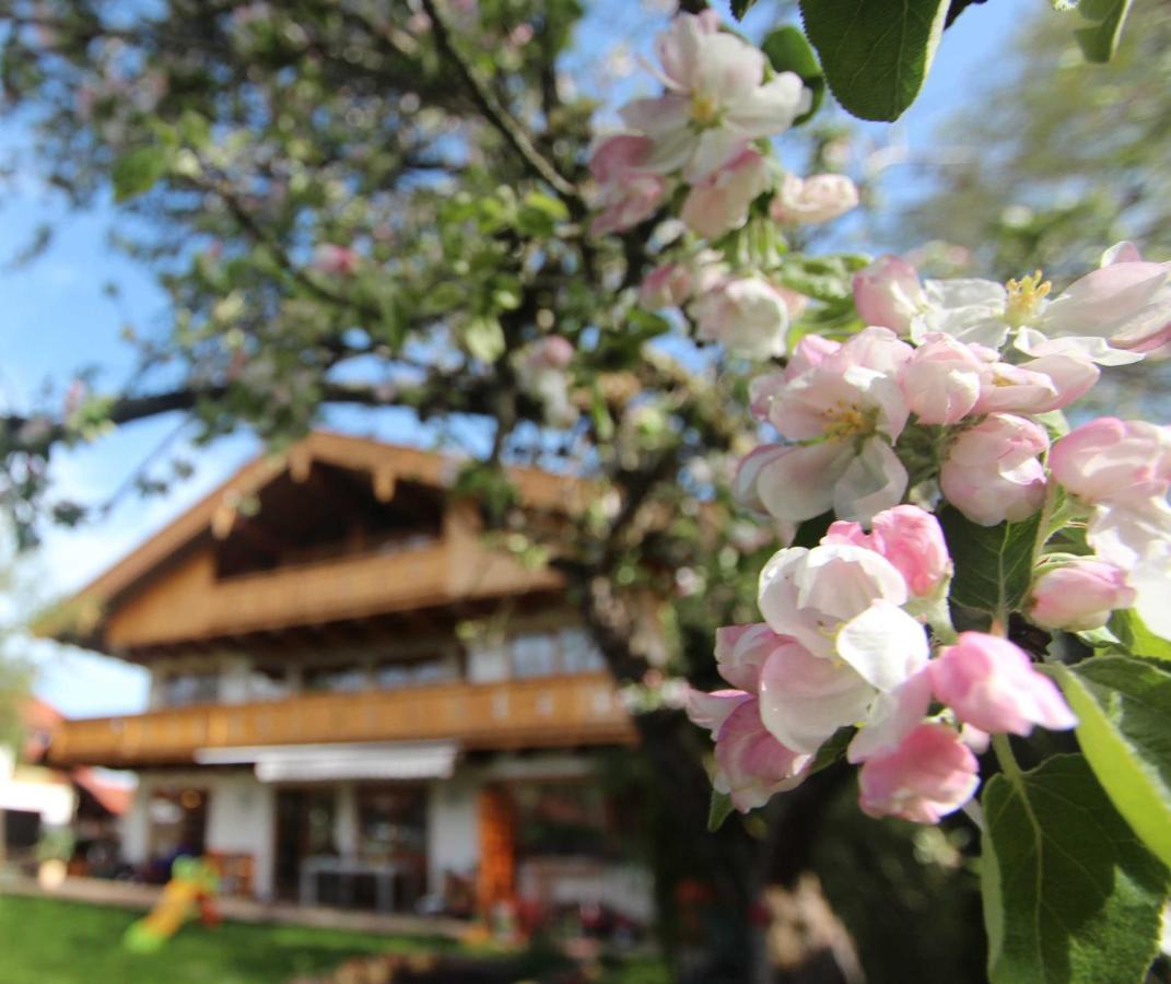 Appartementhaus Schirsner - Direkt Am See & Am Kurpark Schliersee Luaran gambar
